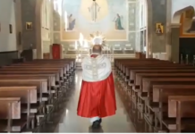 santarcisio-don-stefano-benedizione-eucaristica-domenica-palme