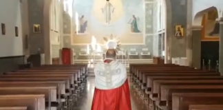 santarcisio-don-stefano-benedizione-eucaristica-domenica-palme